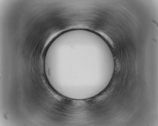 X0000096150886200801180827
