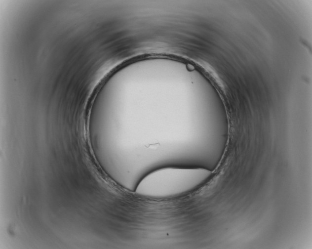 X0000096150887200801180827