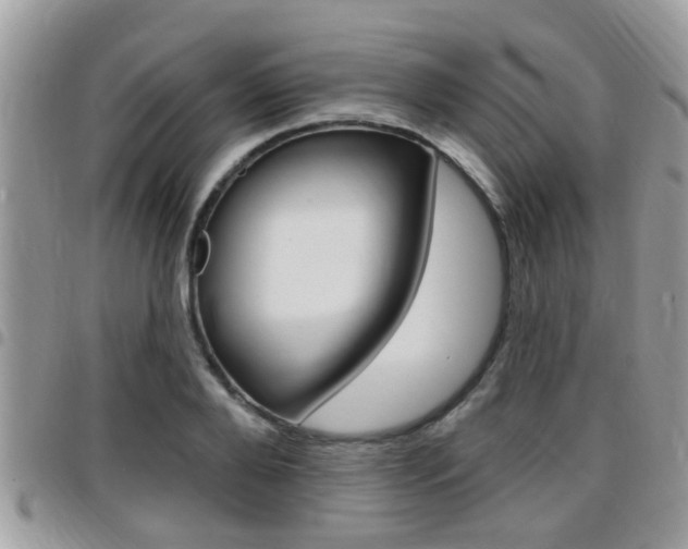 X0000096150888200801180827