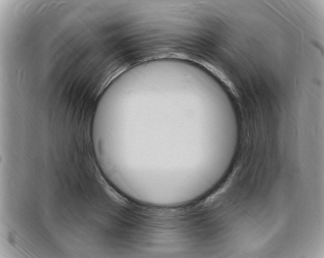 X0000096150889200801180827