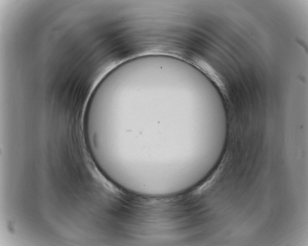 X0000096150892200801180827