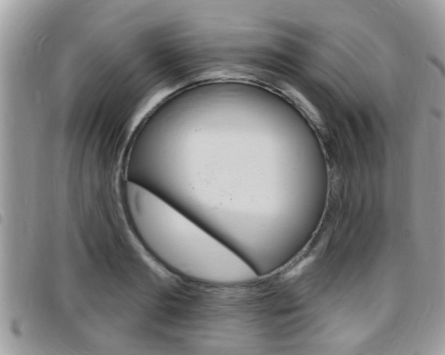 X0000096150893200801180827