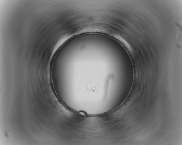 X0000096150894200801180827