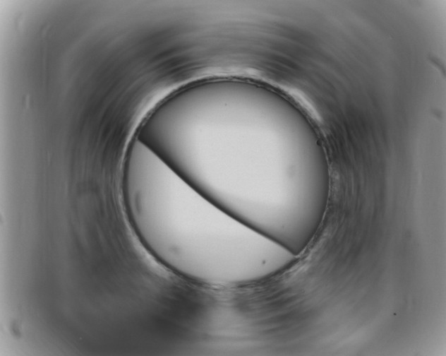 X0000096150895200801180827