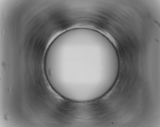 X0000096150896200801180827
