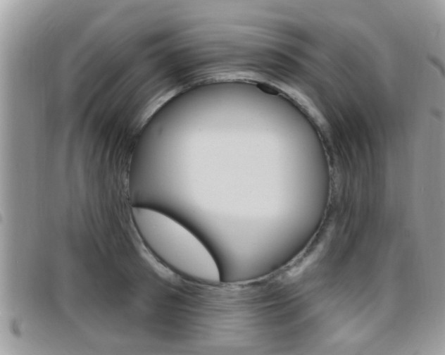 X0000096150897200801180827