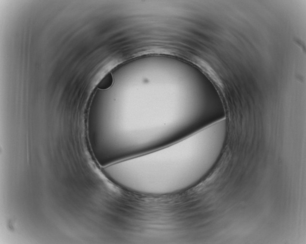X0000096150898200801180827
