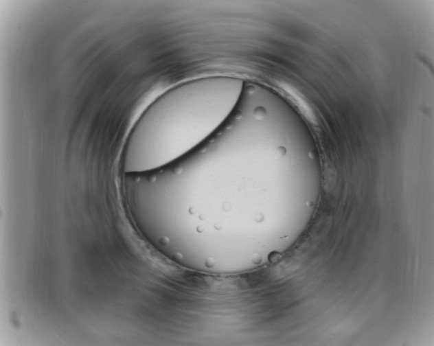 X0000096150899200801180827