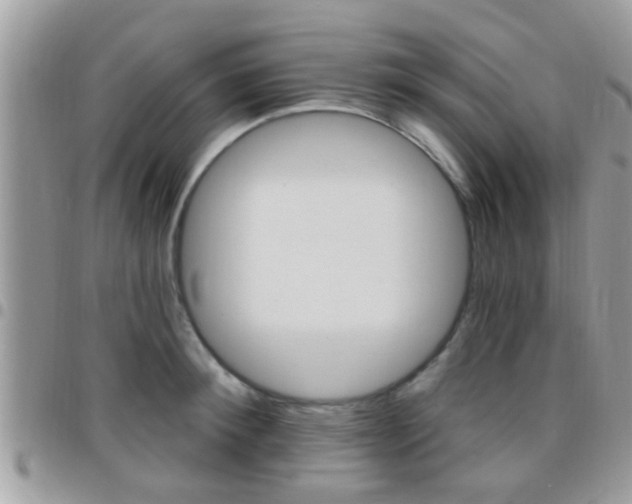 X0000096150900200801180827