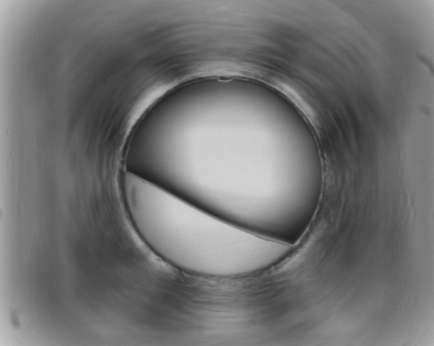 X0000096150901200801180827