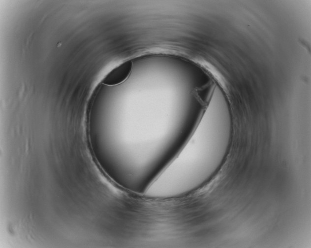 X0000096150902200801180827