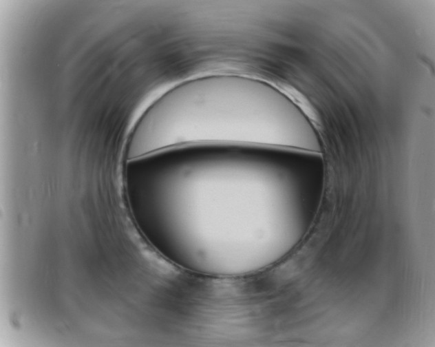 X0000096150904200801180826