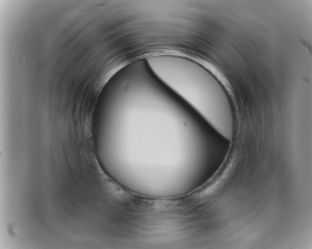 X0000096150905200801180826