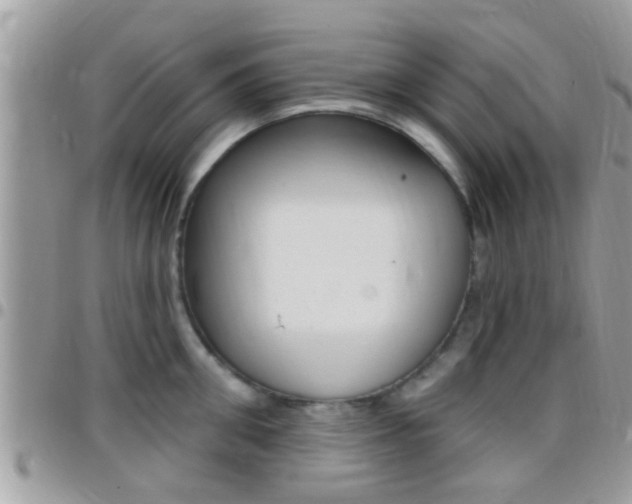 X0000096150906200801180826