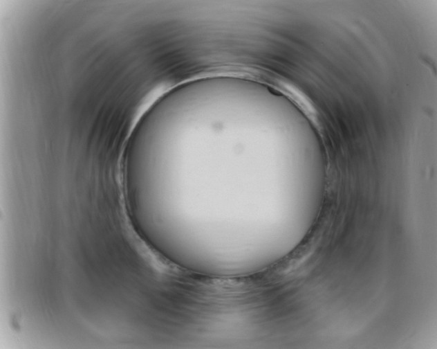 X0000096150907200801180826
