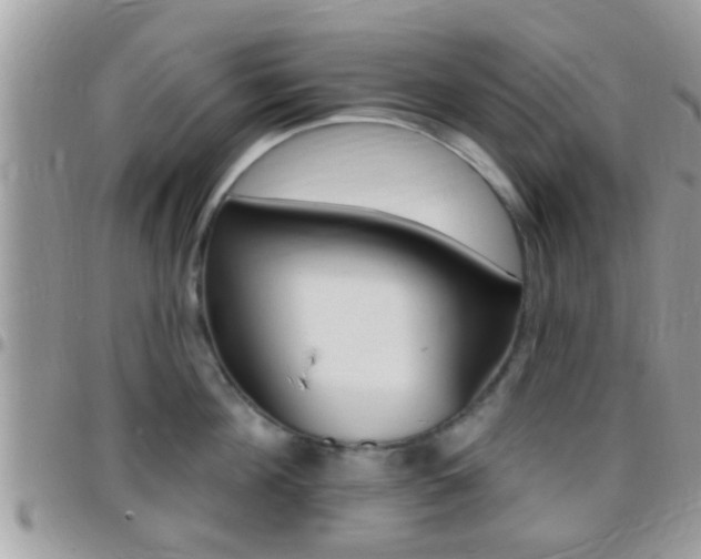 X0000096150908200801180826