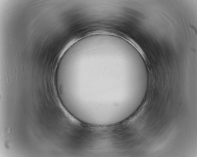 X0000096150909200801180826