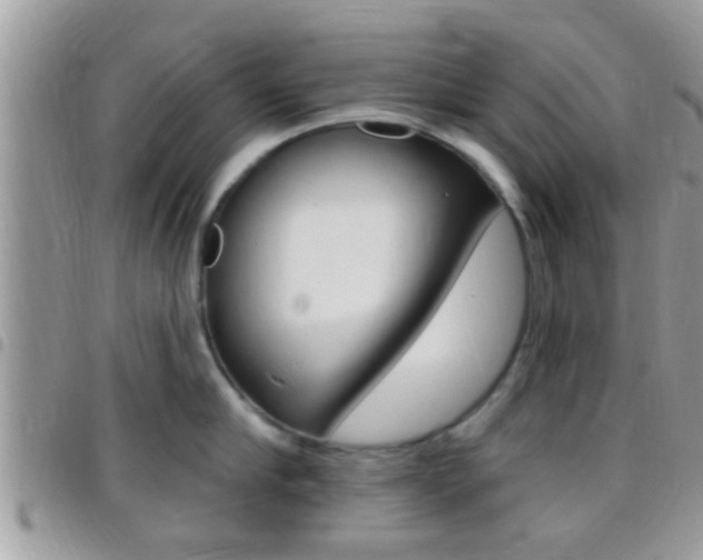 X0000096150910200801180826
