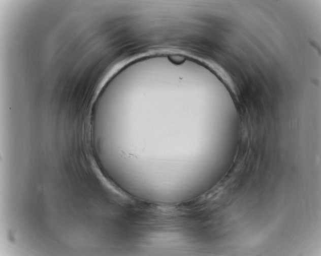 X0000096150911200801180826