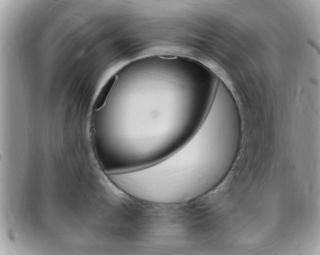 X0000096150912200801180826