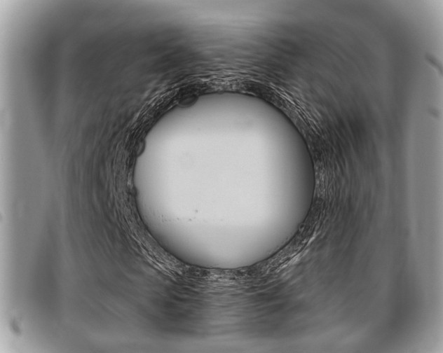 X0000096150913200801180826
