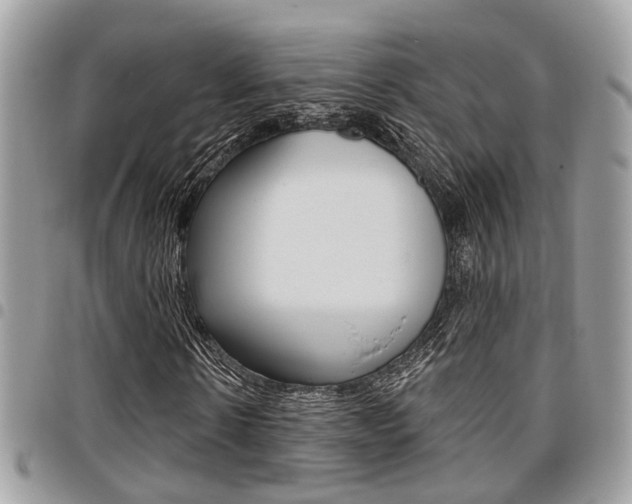 X0000096150914200801180826