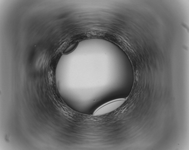 X0000096150915200801180826