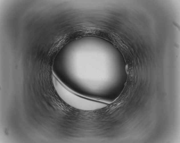 X0000096150916200801180826