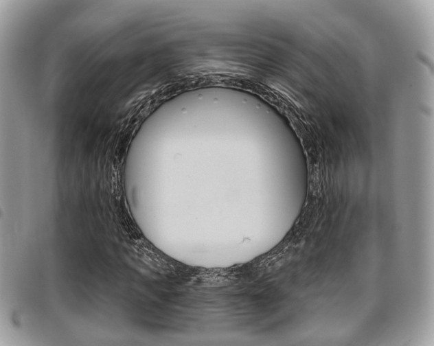 X0000096150917200801180826