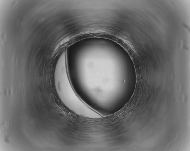 X0000096150920200801180826