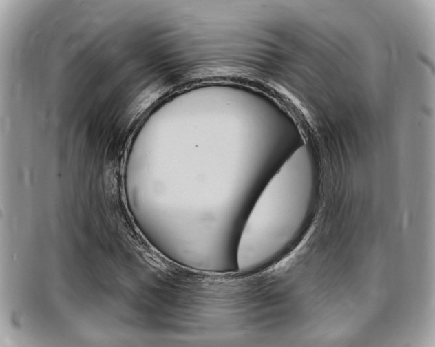 X0000096150921200801180826
