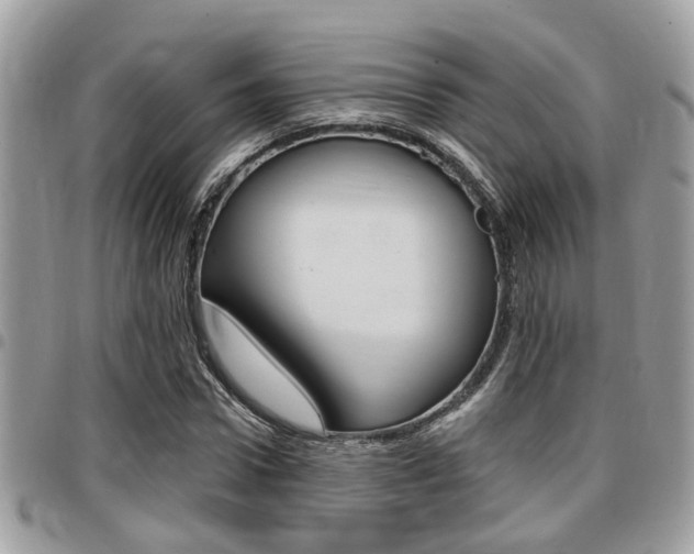 X0000096150922200801180826