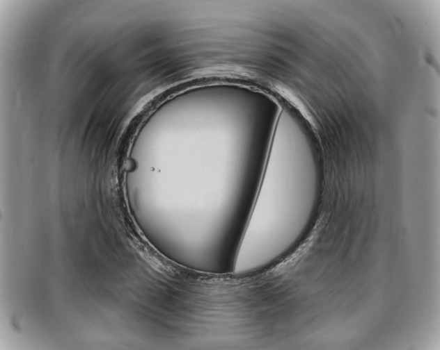 X0000096150923200801180826
