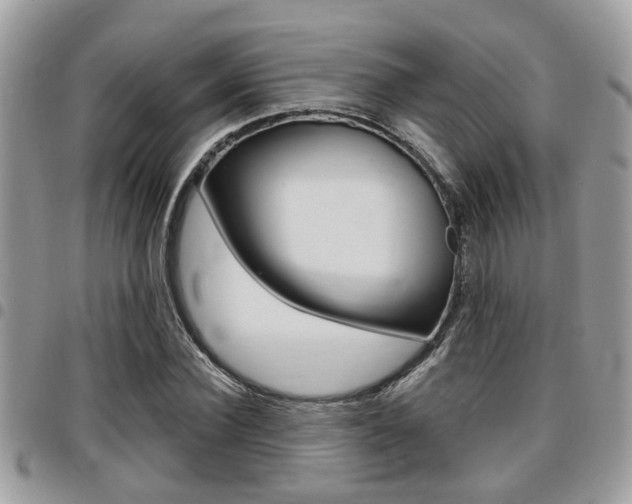 X0000096150924200801180826