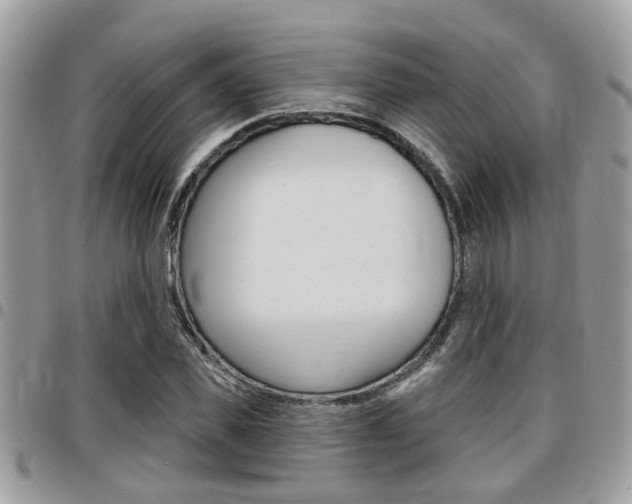 X0000096150925200801180826