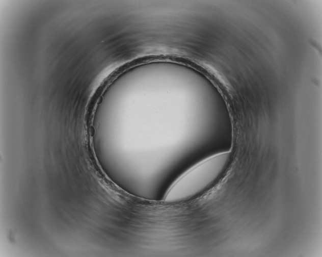 X0000096150927200801180826