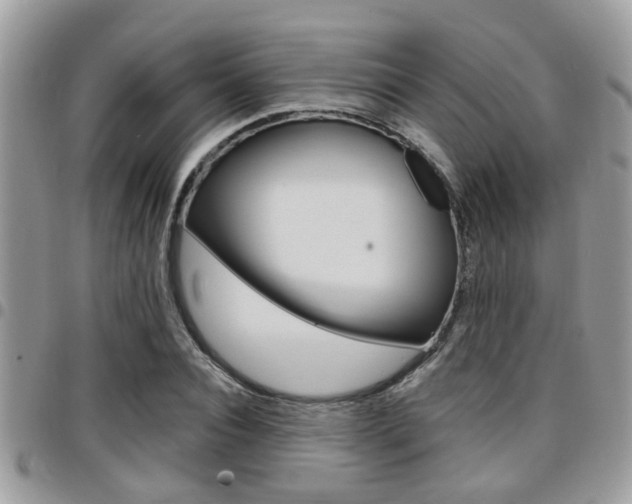 X0000096150928200801180826