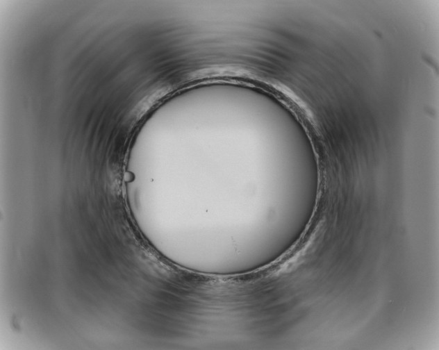 X0000096150929200801180826