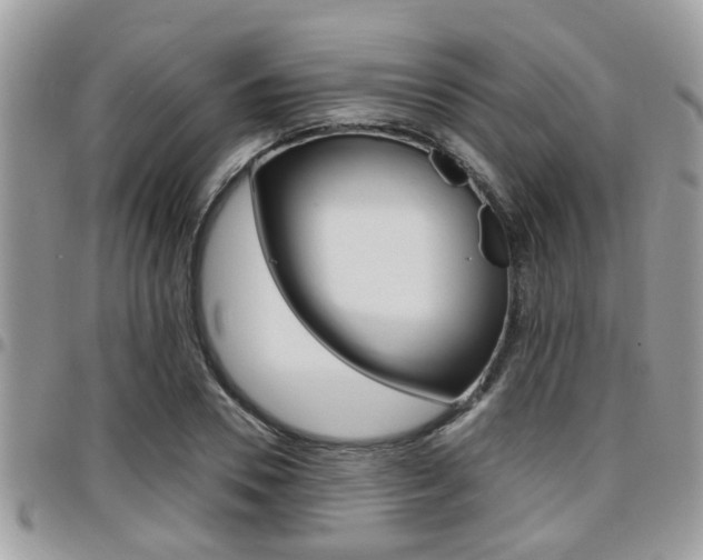 X0000096150930200801180826