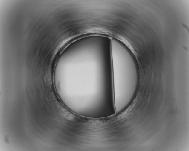 X0000096150931200801180826