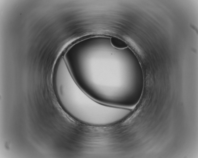 X0000096150932200801180826