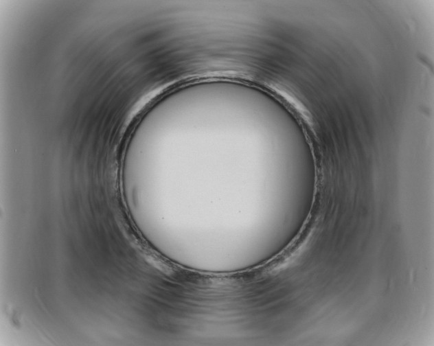 X0000096150933200801180826