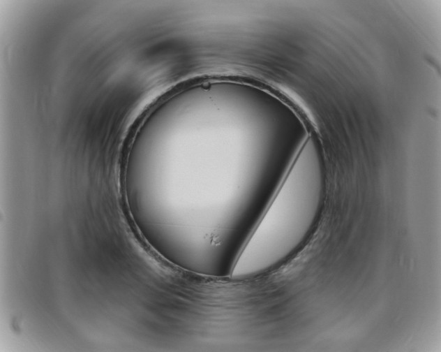 X0000096150935200801180826