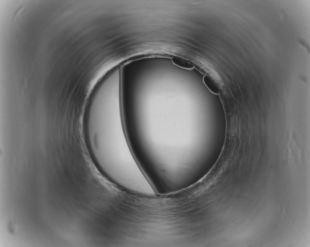 X0000096150936200801180826