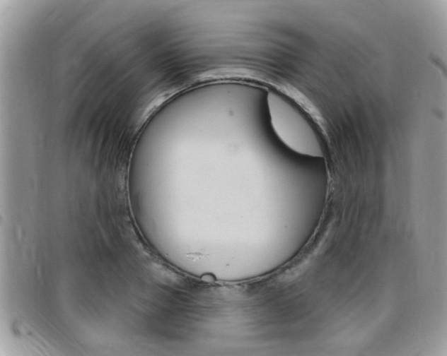 X0000096150937200801180826