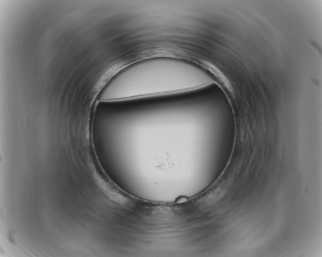 X0000096150938200801180826