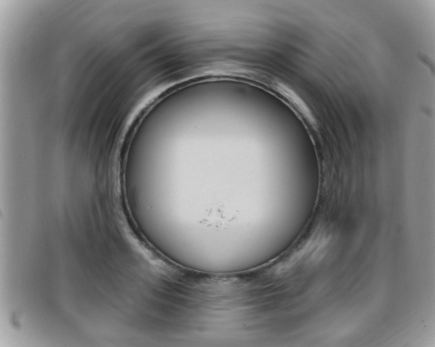 X0000096150939200801180826