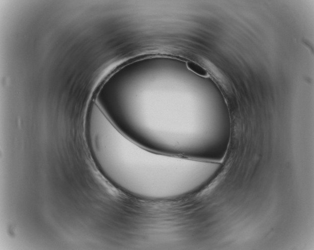 X0000096150940200801180826