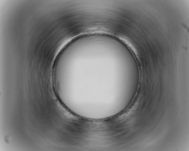 X0000096150941200801180826