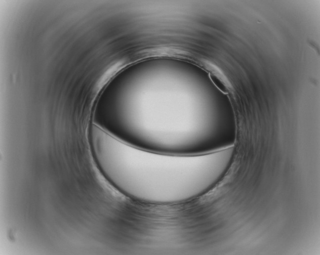 X0000096150946200801180826
